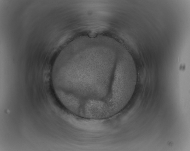 X0000092220032200709281052