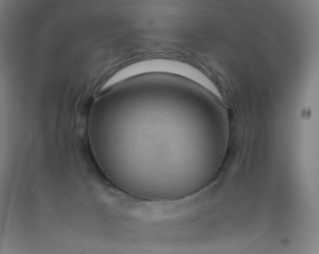 X0000092220033200709281052