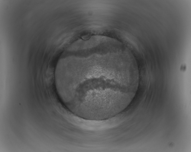 X0000092220034200709281052