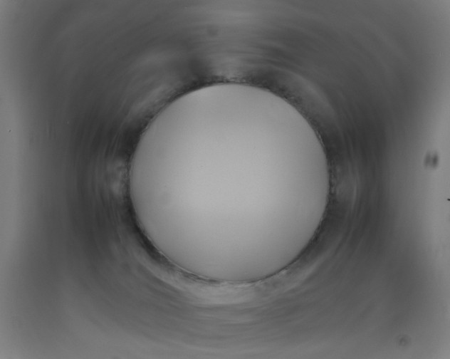 X0000092220036200709281052
