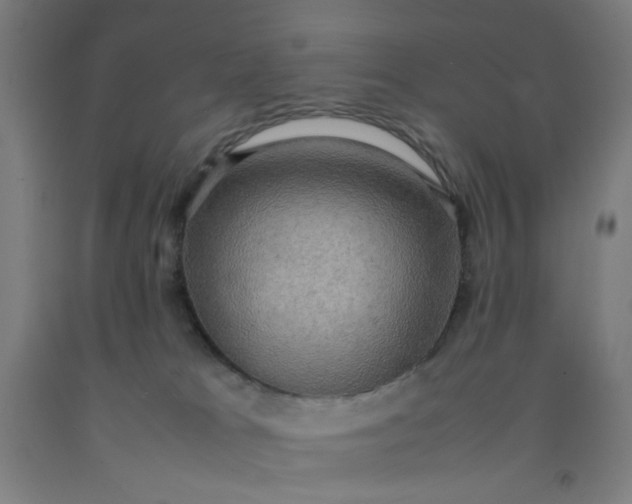 X0000092220037200709281052