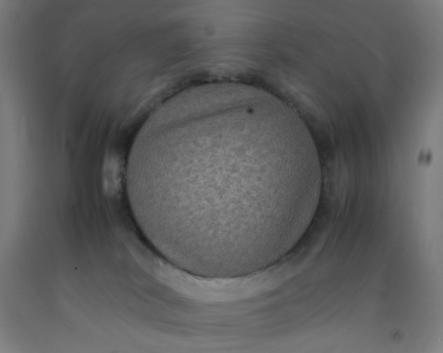 X0000092220038200709281052