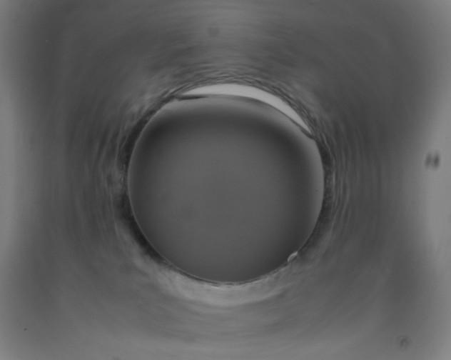 X0000092220039200709281052