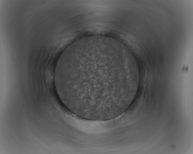 X0000092220040200709281052