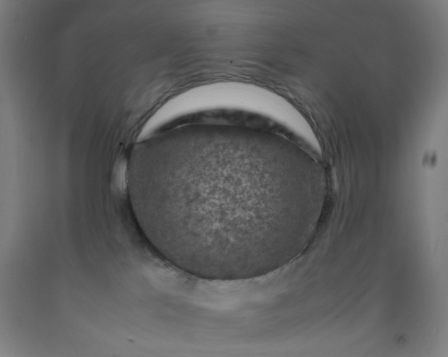 X0000092220041200709281052