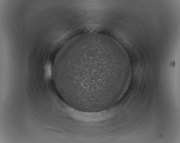X0000092220042200709281052