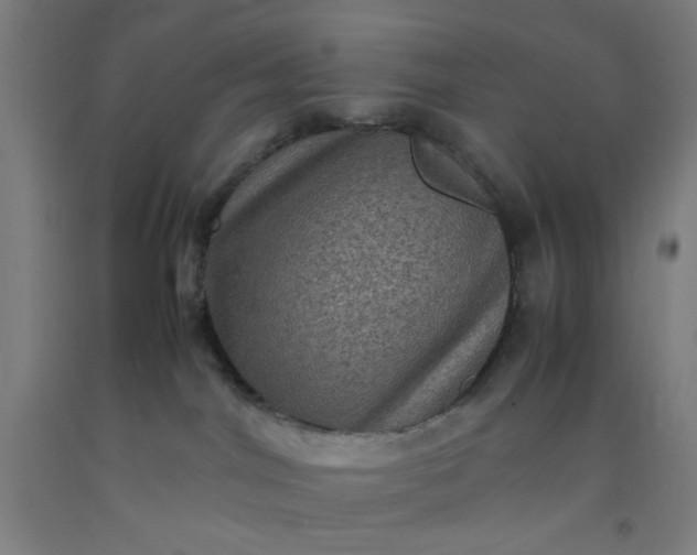 X0000092220044200709281052