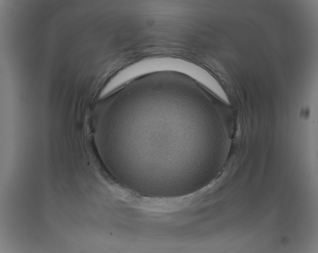 X0000092220045200709281052