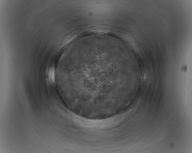 X0000092220046200709281052
