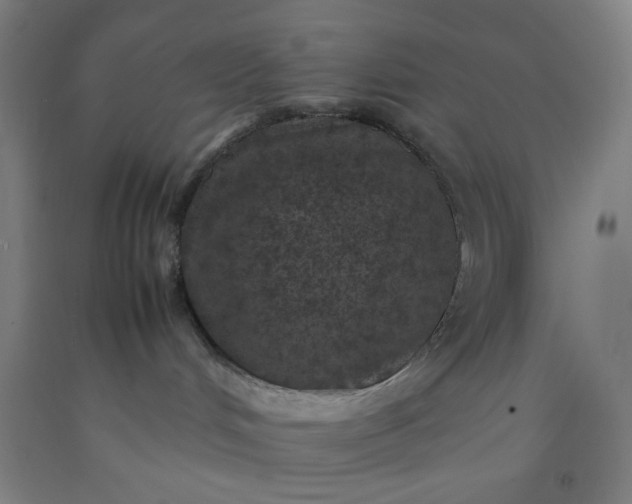 X0000092220048200709281052