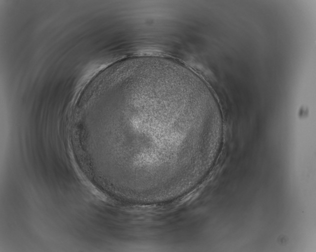 X0000092220049200709281051
