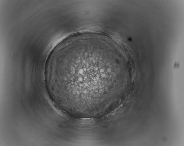 X0000092220050200709281051
