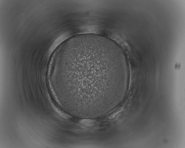 X0000092220051200709281051