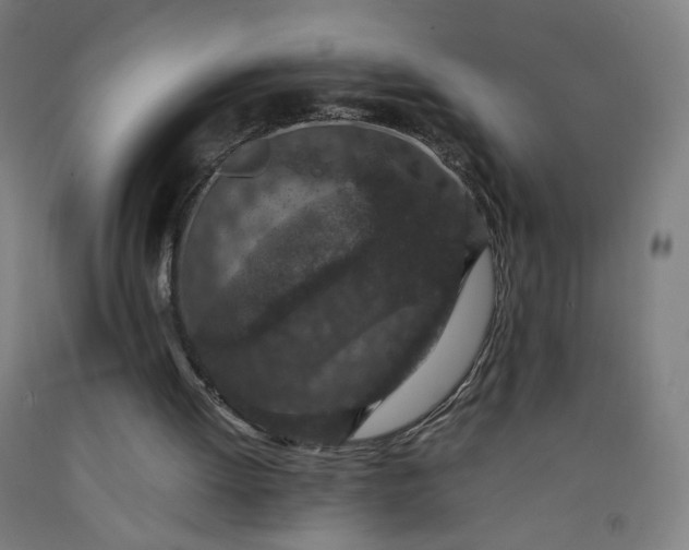 X0000092220052200709281051