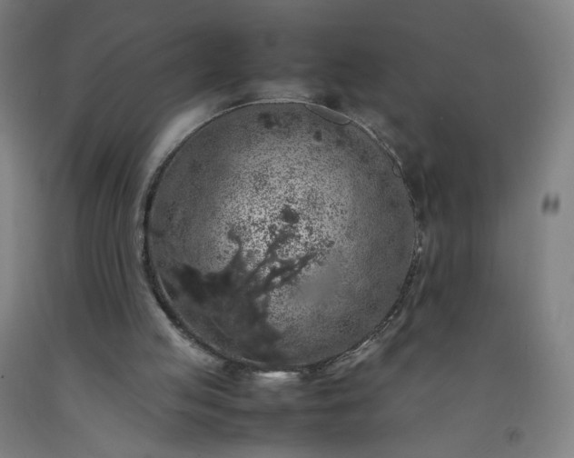 X0000092220053200709281051