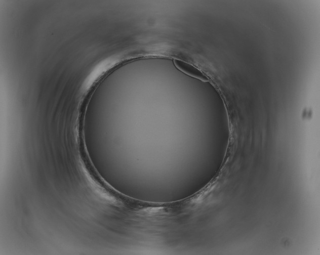 X0000092220054200709281051