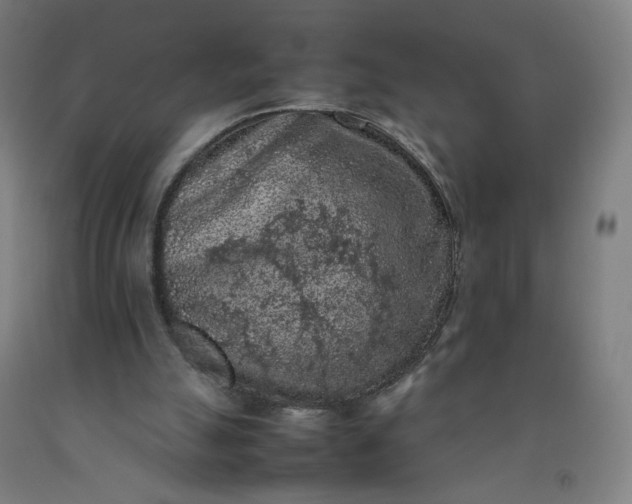 X0000092220055200709281051