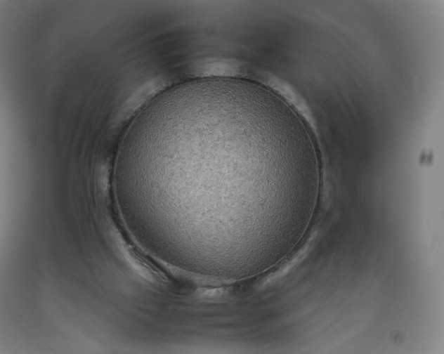 X0000092220057200709281051