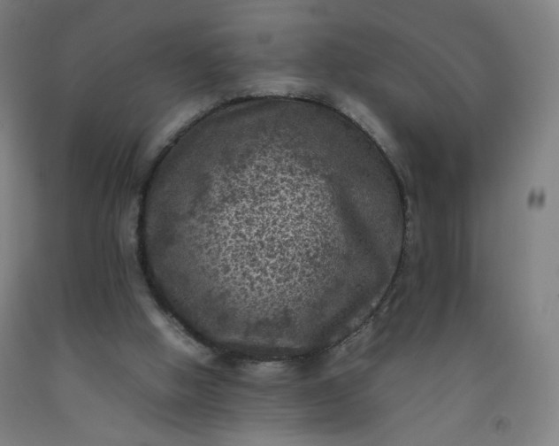 X0000092220058200709281051