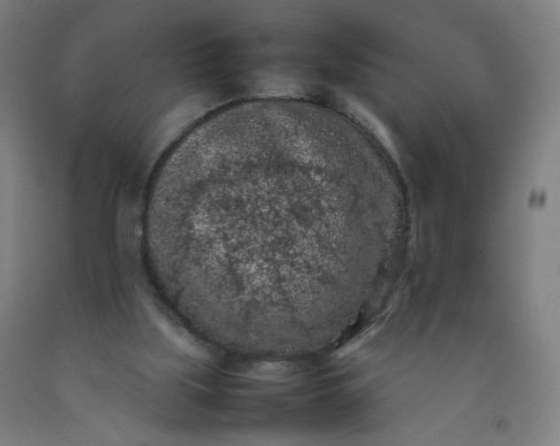 X0000092220059200709281051