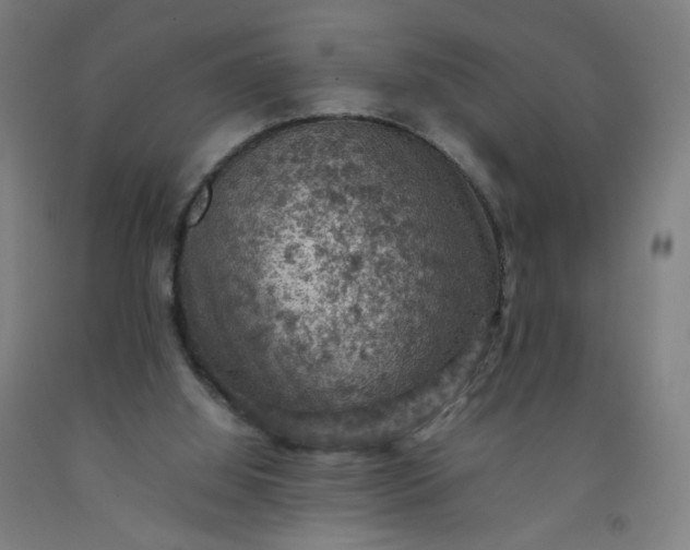 X0000092220060200709281051