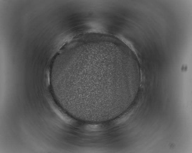 X0000092220061200709281051