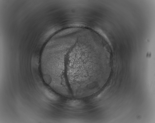 X0000092220063200709281051