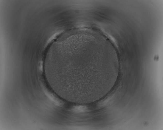 X0000092220067200709281052