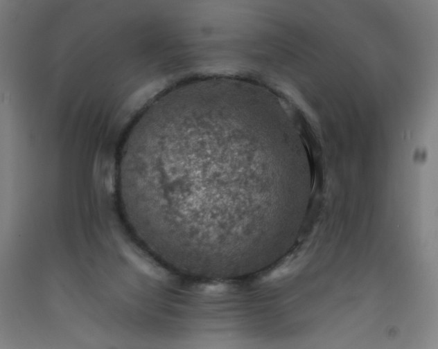 X0000092220068200709281052