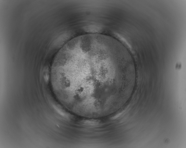 X0000092220069200709281052