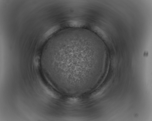 X0000092220071200709281052