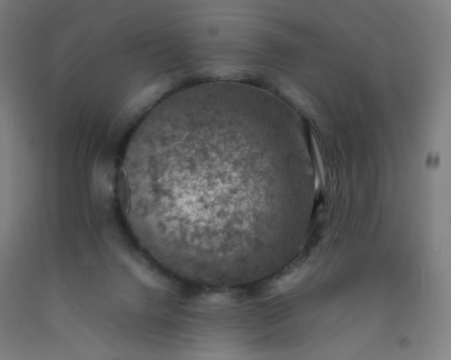 X0000092220072200709281052