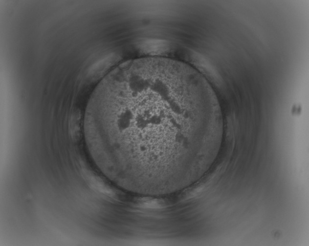 X0000092220073200709281052