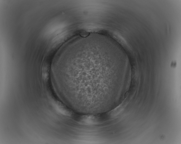 X0000092220074200709281052