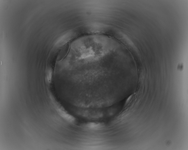 X0000092220076200709281052