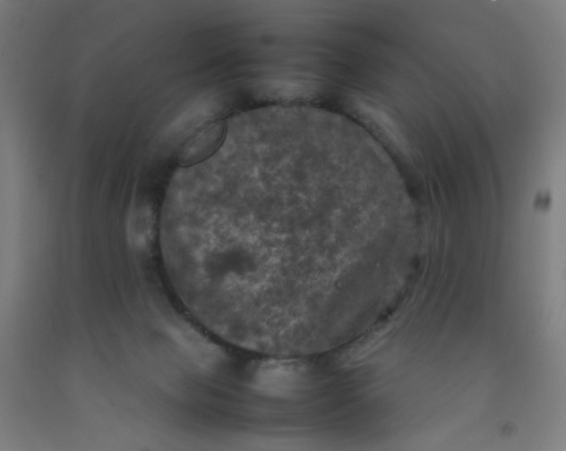 X0000092220077200709281052