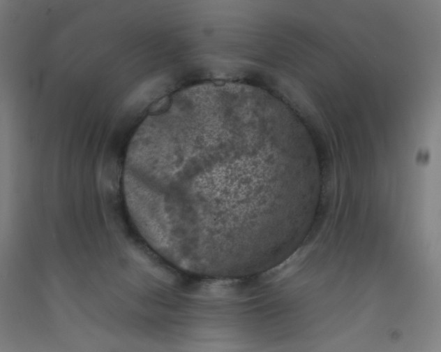 X0000092220078200709281052