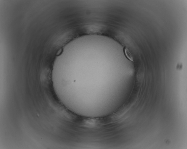 X0000092220079200709281052