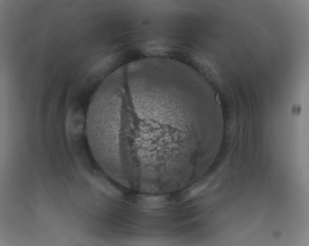 X0000092220081200709281052
