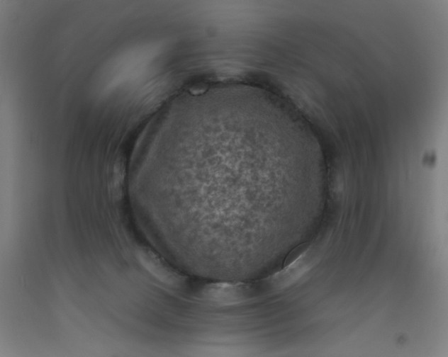 X0000092220082200709281052