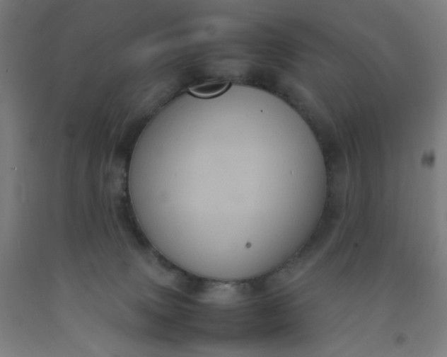 X0000092220083200709281052
