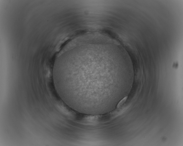 X0000092220084200709281052