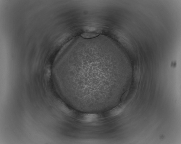 X0000092220085200709281052