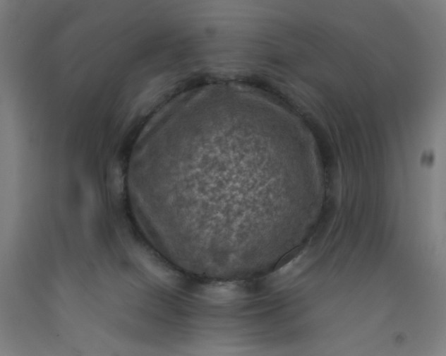 X0000092220086200709281052