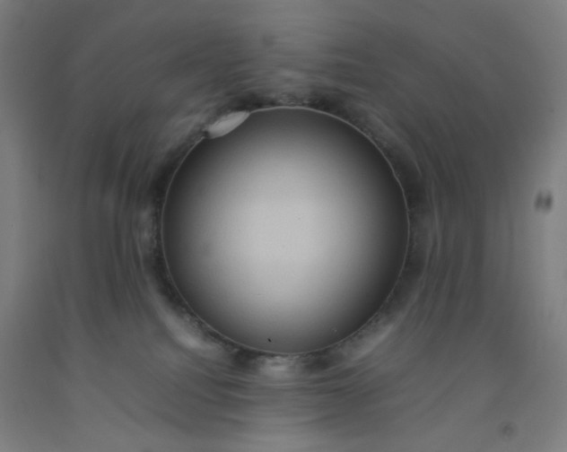 X0000092220088200709281052