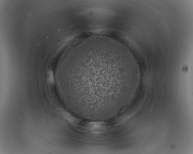X0000092220089200709281052