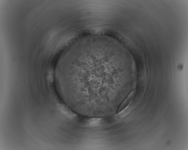 X0000092220090200709281052