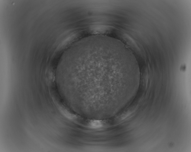 X0000092220091200709281052
