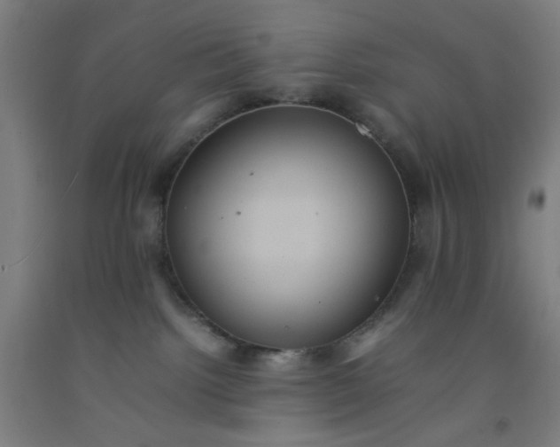 X0000092220092200709281052