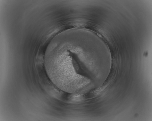 X0000092220093200709281052